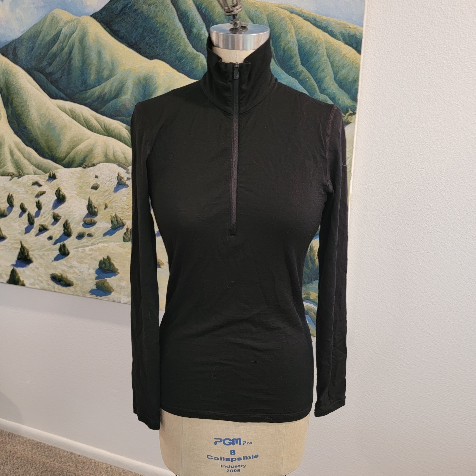 Icebreaker Merino Wool Womens Baselayer Top Sm 200 L/S 1/4 Zip Outdoor Ski Camp