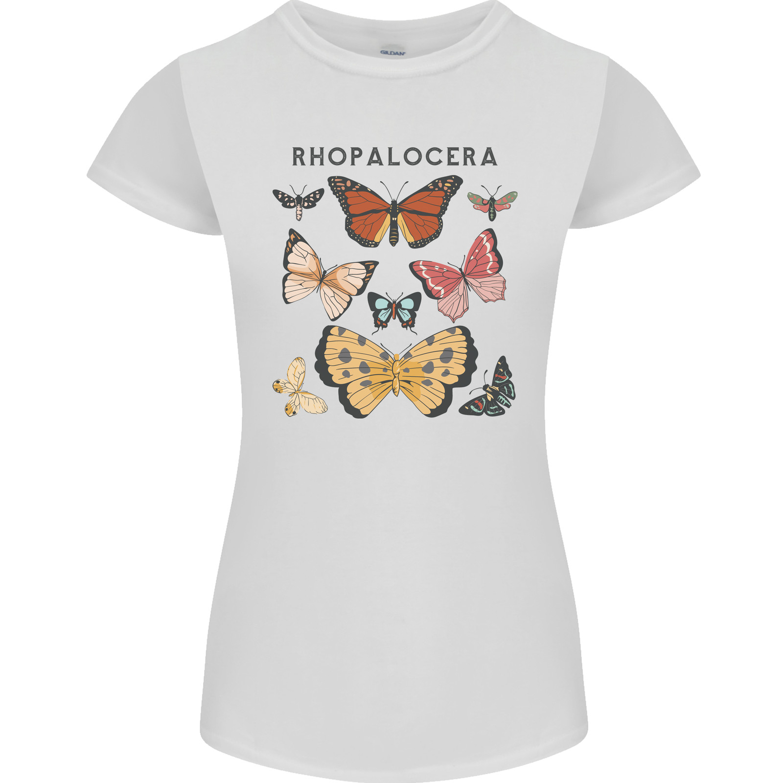 Rhopalocera Butterflies Butterfly Womens Petite Cut T-Shirt